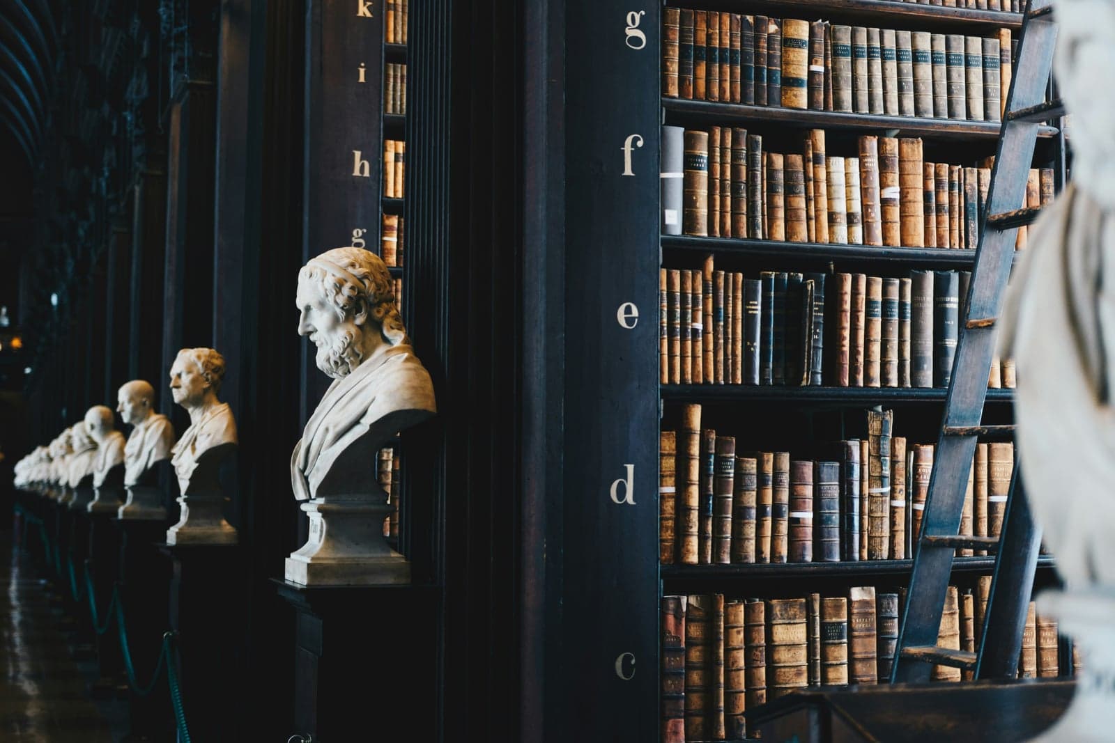 Biblioteca clásica con estanterías de madera y bustos de mármol